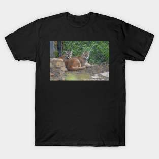 Cougars T-Shirt